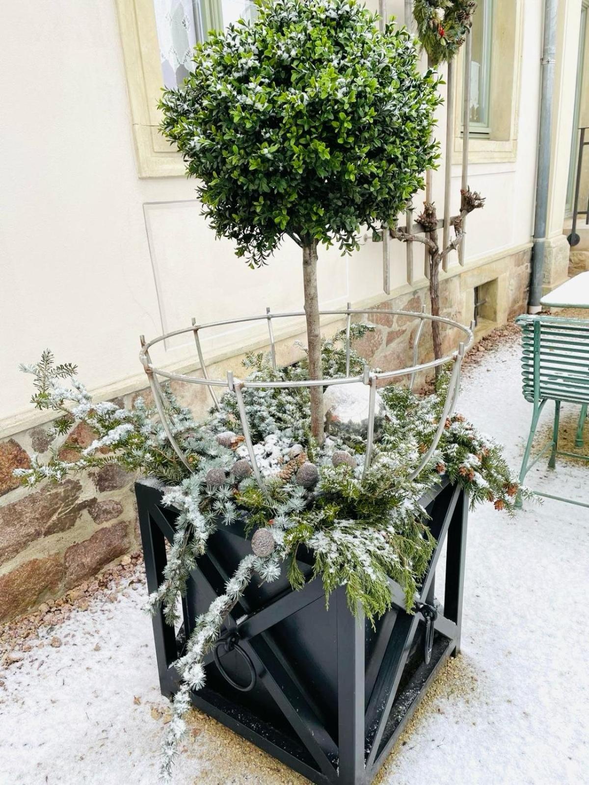 Gaestehaus Schoenitz ไมเซน ภายนอก รูปภาพ